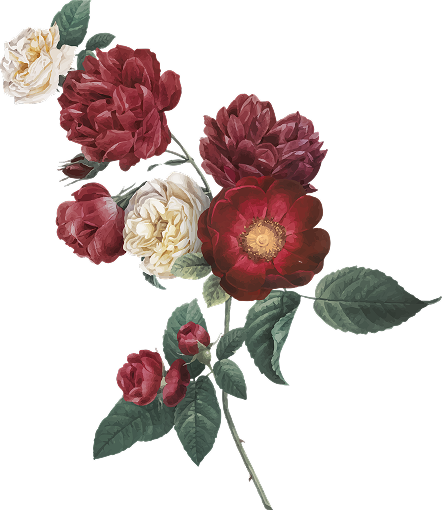 Ornament