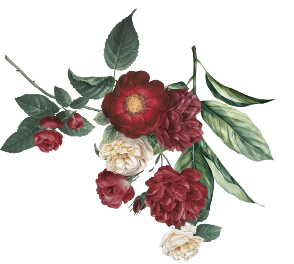 Ornament